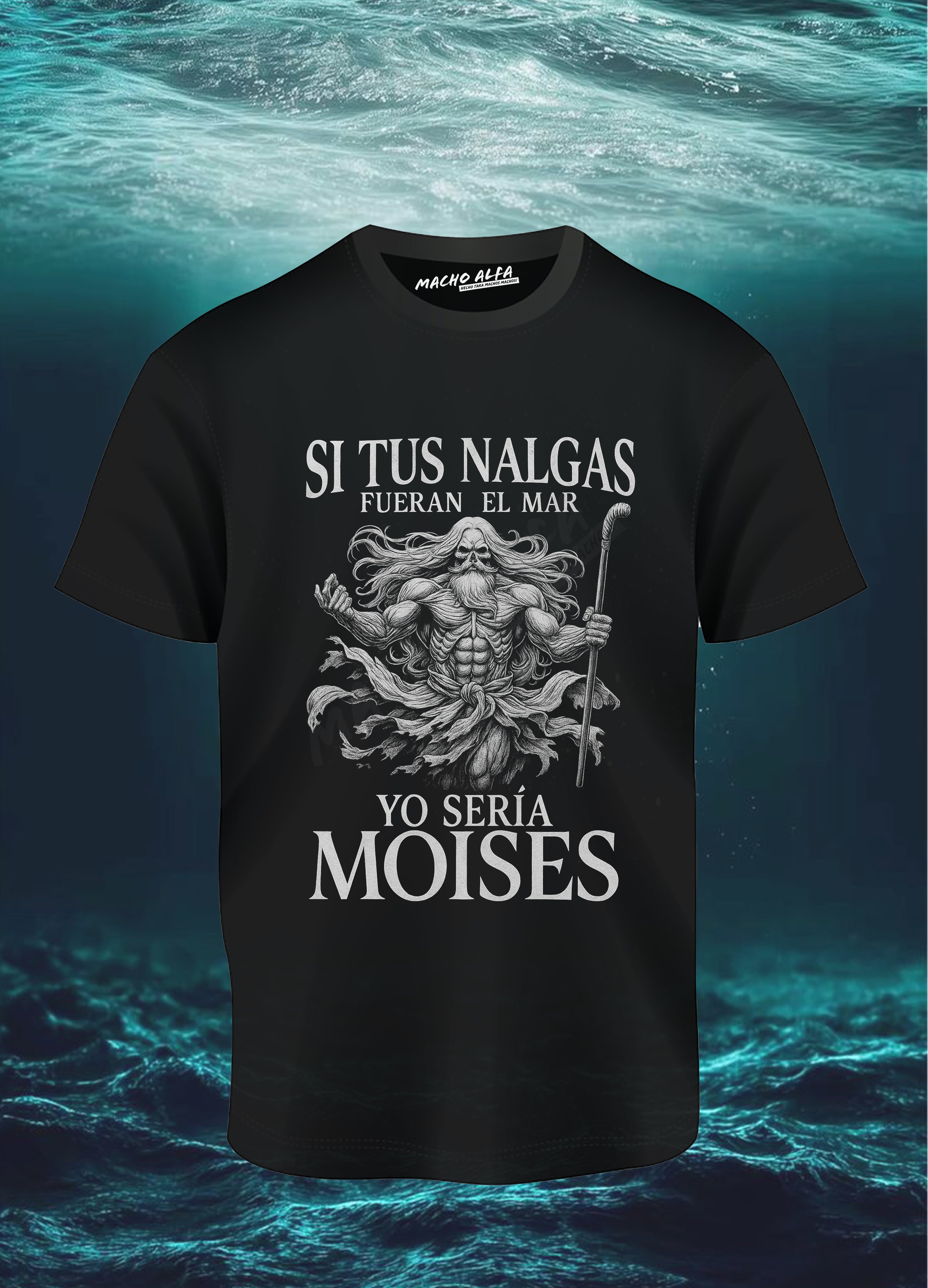 Camiseta "Quería darme celos"